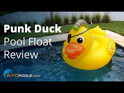 Punk Duck Pool Float Review