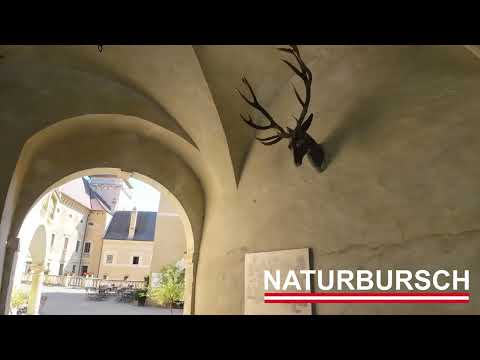 Die Rosenburg im Waldviertel