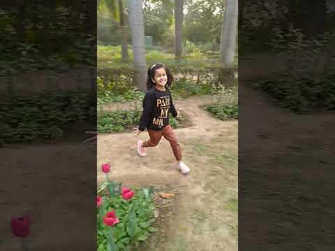 Very beautiful flowers#shorts