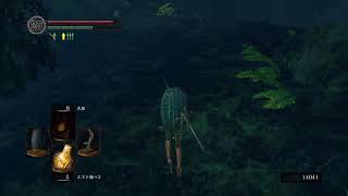 ゆきまるはあんこくけんをてにいれた