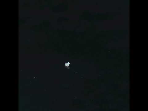 YouTube 썸네일