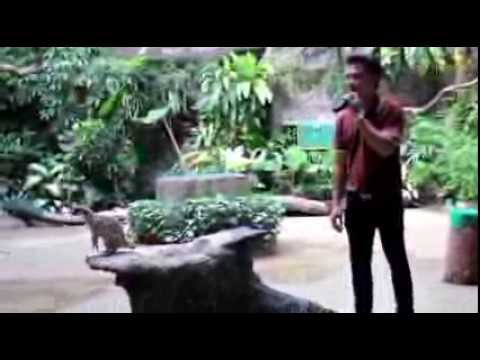 100 секунд_17-Зоопарк Као Кео Zoo Khao Kheo