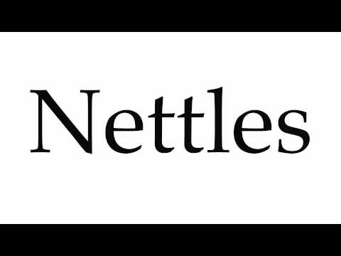 How to Pronounce Nettles