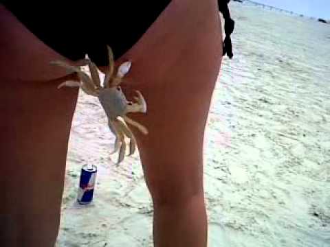 girl-biting-girls-butt