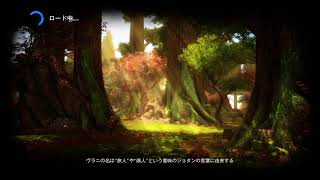 【完全初見実況プレイ】キングダムオブアマラー　part 1