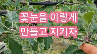 꽃눈을 이렇게 만들고 지키자