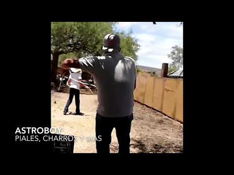 Piales de borregas en el lienzo de enrique el astro ramirez