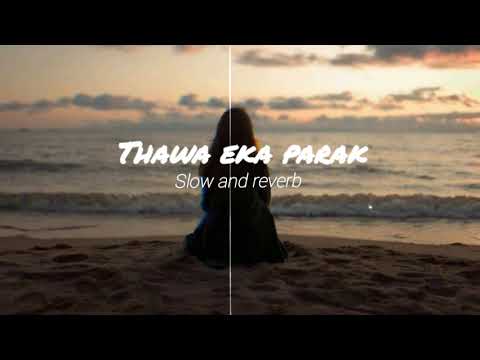 Thawa eka parak (slow and reverb) #slowedandreverb #song #music