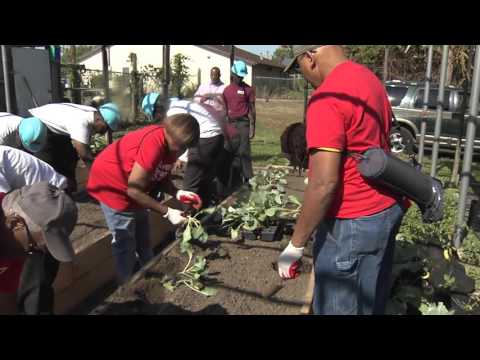 Creating Sustainable Agriculture in Urban Food Deserts