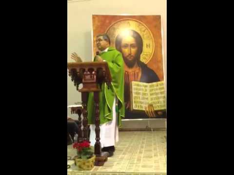 Pe.Roger Luis - Homilia 01/11/2012