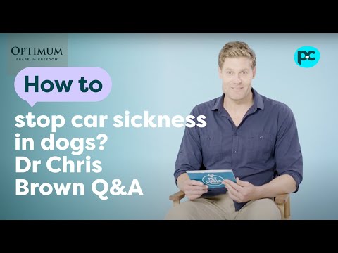 Dr Chris Brown Q&A: How to stop car sickness in #dogs? | PET CIRCLE