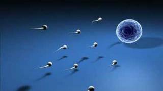 Renato Zero il Cielo