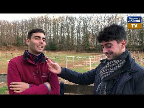 Under the Whip - Ep. 82 on the launch pad with Antonio Mula