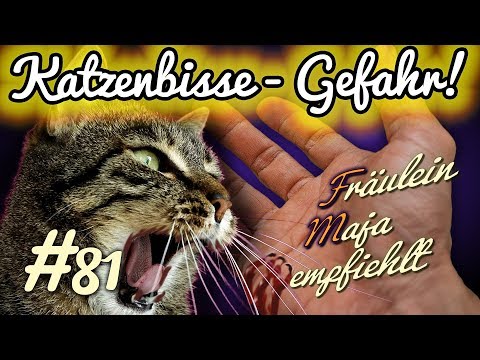 Video richtige Prostata-Massage Was Rate von Prostata-Sekret
