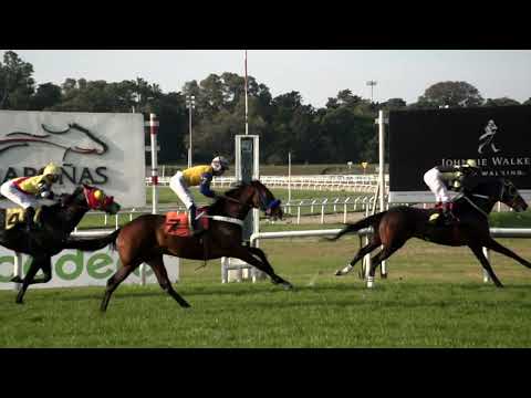 220821 c04 ORSON WELLS