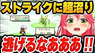 即戦力を求めてサファリゾーンに挑むも、目的のストライクに沼って発狂するさくらみこ【ホロライブ切り抜き/ポケモンFR人生縛り/見どころまとめ】#みこちと人生縛り伝説