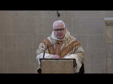 Feast of St Martin de Porres - Fr Dominic Ryan OP