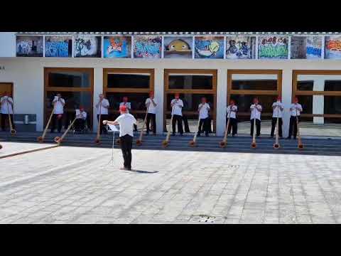 The Spirit of Alphorn   H.J.  Sommer