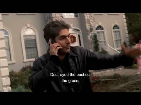 Chris Mad to what Paulie did to his Front garden after Throwing Little paulie out of the window