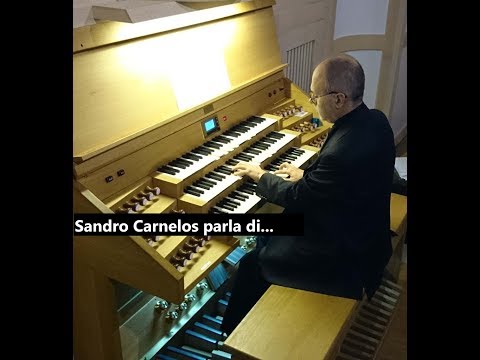 Sandro Carnelos parla di Andrea Luca Luchesi.