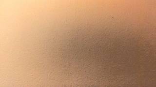 The Williams Brothers -Kay Thompson's Jingle Bells