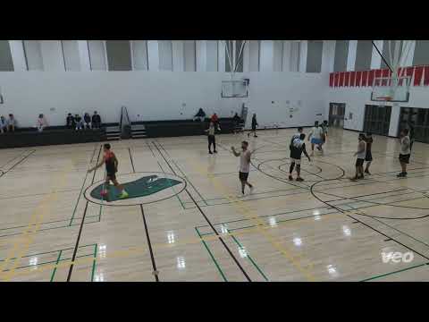 dalewoods 3352 flipside - tcbl Weds