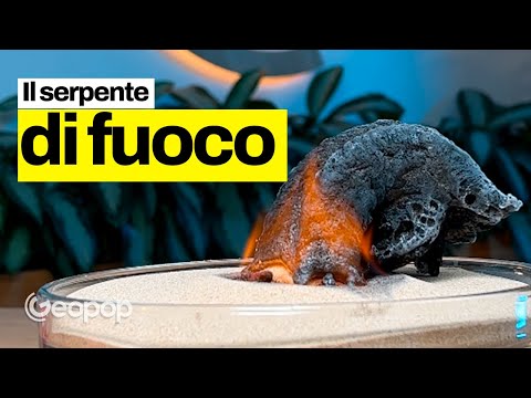 Bizarre, Absurd, Funny - The Fire Snake Chemical Experiment