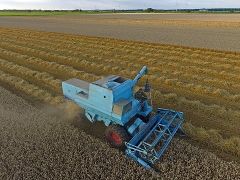 50 shades of grain | Braud 505 classic combine | Harvest 2016