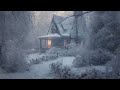 11 Hours Blizzard Sounds for Sleeping┇Winter Storm Ambience ┇Howling Wind & Blowing Snow