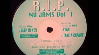 R.I.P. Productions -- Take A Chance (Nu Jams Vol 1)