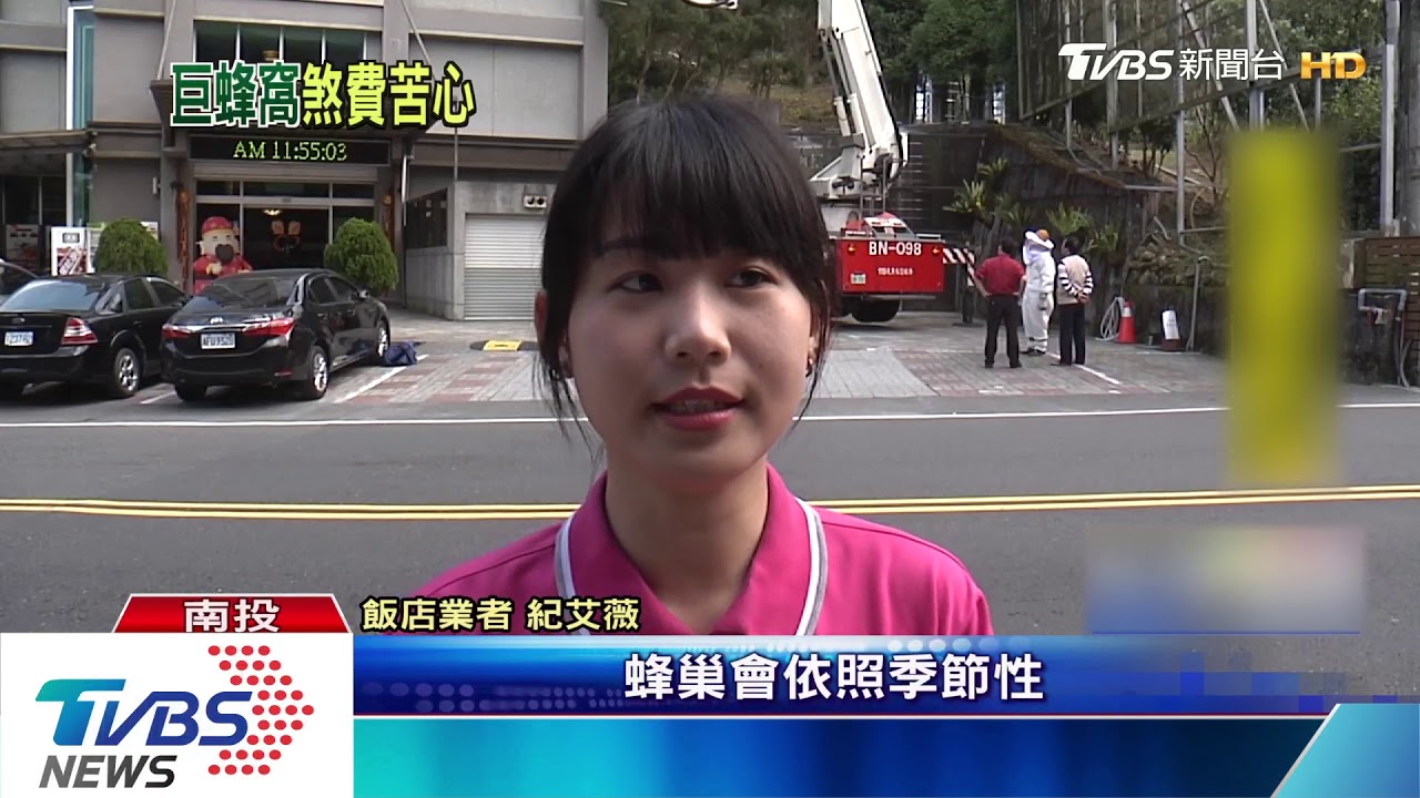 比照大廈火警 雲梯車加水柱擊落虎頭蜂
