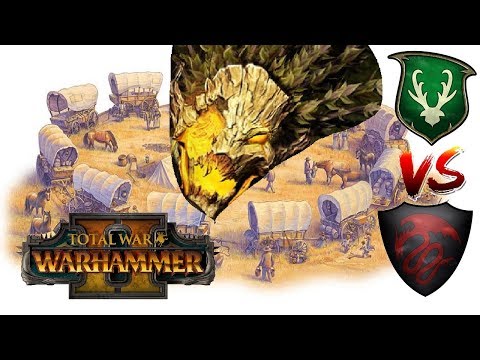 Wood Elves vs Vampire Counts  | DURTHU DEFENSE - Total War Warhammer 2
