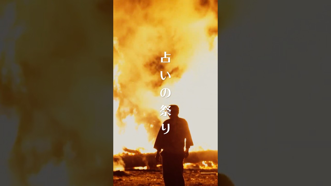 能登島向田の火祭り #占い #奇祭 #日本の祭り