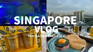 【シンガポールvlog PART2】現地在住者と周る4泊5日シンガポール旅!🇸🇬ナイトショーにまさかのオーロラ出現!?チャイナタウン/スカイバー/ローカルグルメ/ガーデンズバイザベイ/CÉ LA VI