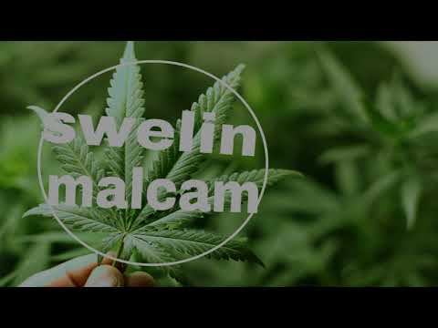 dj-riio-X-Dr Bitone Topo Wa(Reggae Remix 2017)