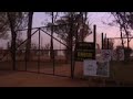 US Woman Killed In Lion Attack