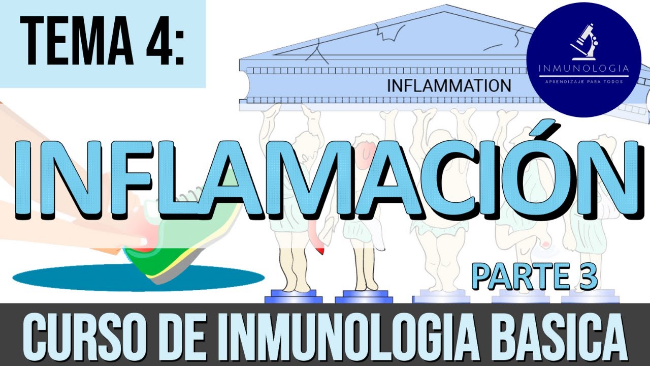 Inflamación FINAL: mediadores derivados de proteínas, inflamación crónica y efectos sistémicos