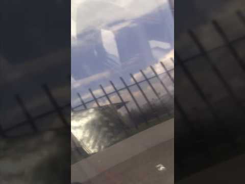 kole audio 5500 vs 4 tsw3004 spl