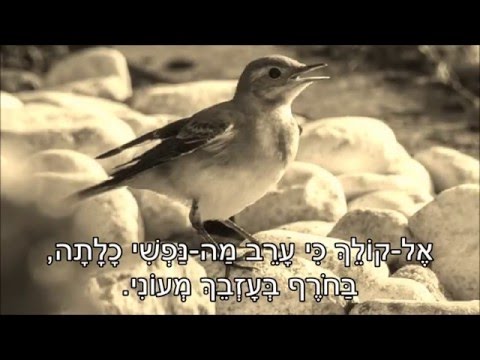 שיר עד - אל הציפור - מילים: ח.נ.ביאליק | לחן: עממי יידי | ביצוע: נחמה הנדל, 1965 - El HaTzipor