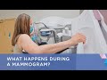 What Happens During A Mammogram