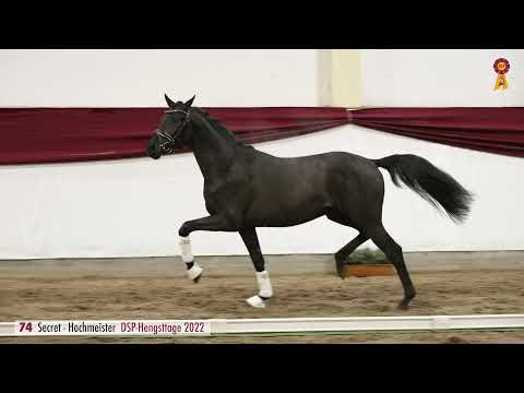 Lot 74: Hengst v. Secret/Hochmeister