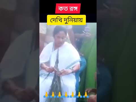 কতই রঙ্গ দেখি দুনিয়ায় Kotoi Rongo Dekhi Duniyay mamata banerjee latest news update | bangla news