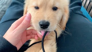 For cute, I cannot help myself messing with him a lttle