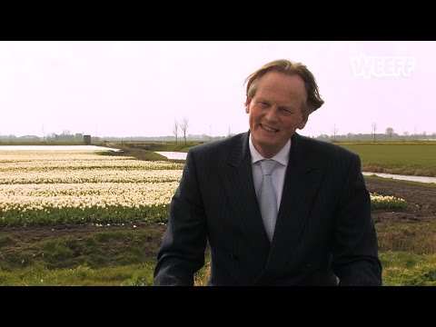 Westfriese Kopstukken - Frank Streng