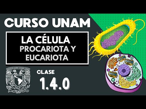 🌱 Eukaryotic and Prokaryotic Cells | Differences | UNAM Exam | Cell Organelles | Biology