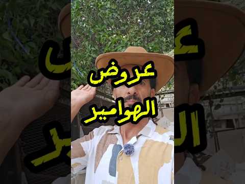 نائف الوافي