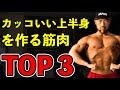【見た目を重視!】上半身をカッコ良く見せる為に優先的に鍛えるべき筋肉TOP3