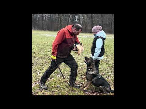 Apocalypsis Ex Terra Bohemia - nácvik obrany 2-2026