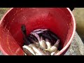 Greek Goat Stew, Ghetto Youths Survival , Catching River Fish, Asmr Nature Sounds
