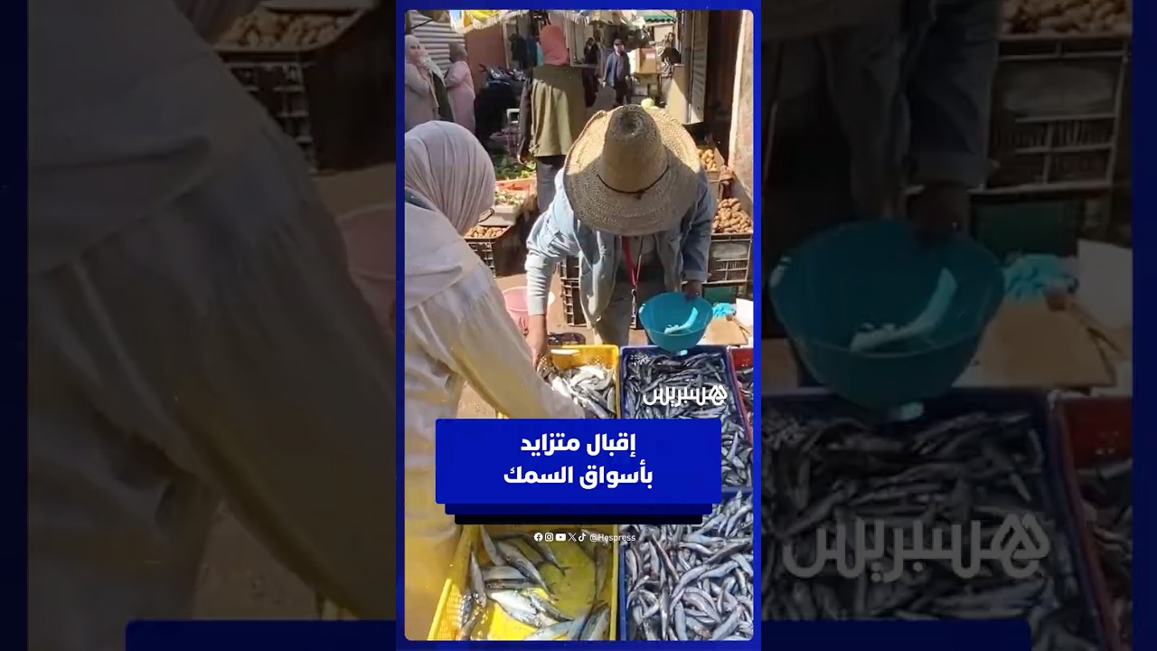 رمضان ينعش أسواق السمك ويزيد الطلب على السردين والأنشوبة thumbnail